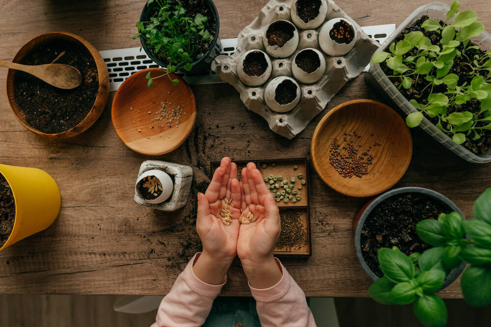 Tuin Verkoop -Tuin Verkoop Depositphotos 563894364 S 1