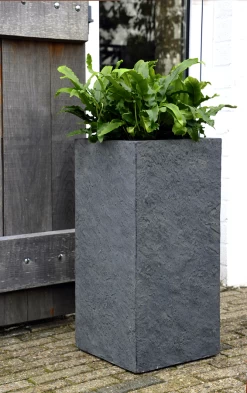Plantenbak Arizona Cubihi - L33 X B33 X H70cm - Donkergrijs -Tuin Verkoop arizona cubihi graphite w33h70 plantenbak 7 4
