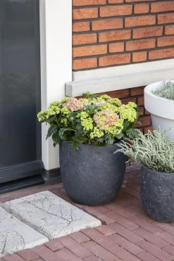 Bloempot Arizona Egg - D25 X H25cm - Donkergrijs -Tuin Verkoop arizona egg pot graphite d25h25 bloempot 7 8