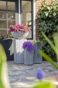 Plantenschaal Arkansas - D55 X H24cm - Lichtgrijs 5 Plantenschaal Arkansas - D55 X H24cm - Lichtgrijs -Tuin Verkoop arkansas bowl low washed grey d55h24 bloempot 7 9