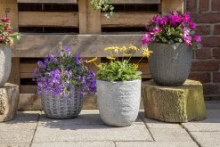 Bloempot Arkansas Egg Washed - D55 X H51cm - Lichtgrijs -Tuin Verkoop arkansas egg pot washed grey d55h51 bloempot 7 9