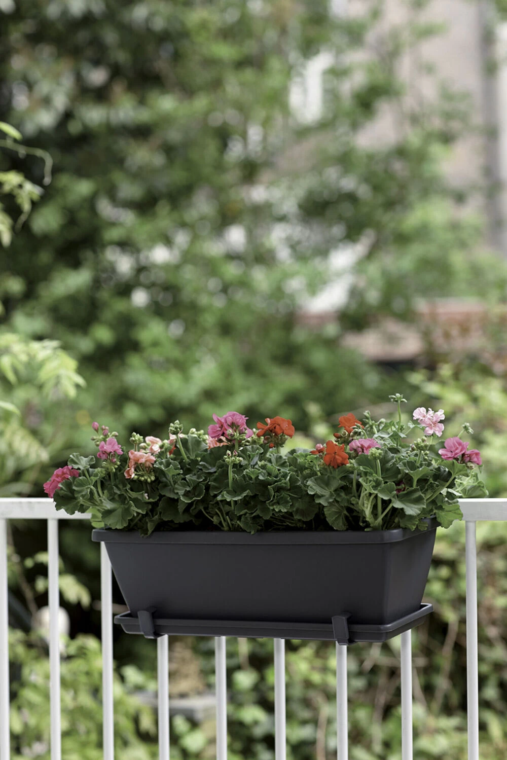 Balkonbak Elho Barcelona 90cm - Antraciet 2 Balkonbak Elho Barcelona 90cm - Antraciet - Afbeelding 2