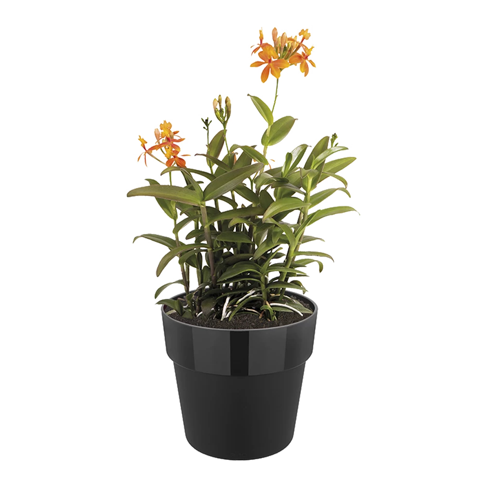 Bloempot Elho B.for Original Rond 25cm - Living Black - Afbeelding 2