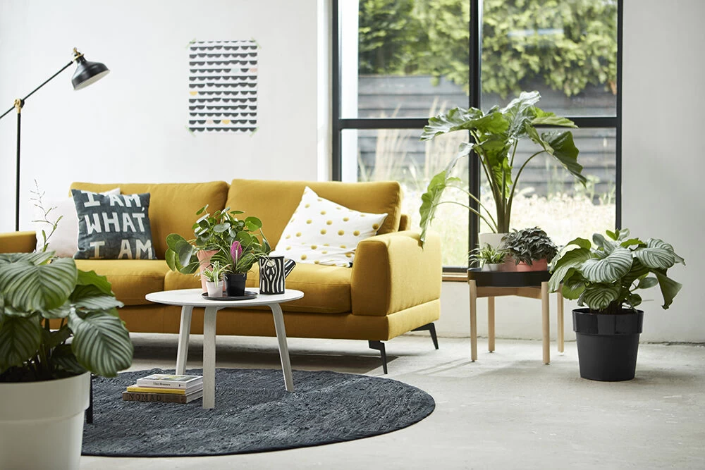 Bloempot Elho B.for Original Rond 25cm - Living Black - Afbeelding 3