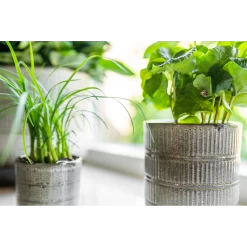 Bloempot Denise - D17 X H17cm - Off White 5 Bloempot Denise - D17 X H17cm - Off White -Tuin Verkoop bloempot denise d17 x h17cm off white bloempot 3