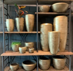 Plantenschaal Kos - D35 X H18cm - Goud -Tuin Verkoop bloempot kos serie goud bloempot 3 1 4