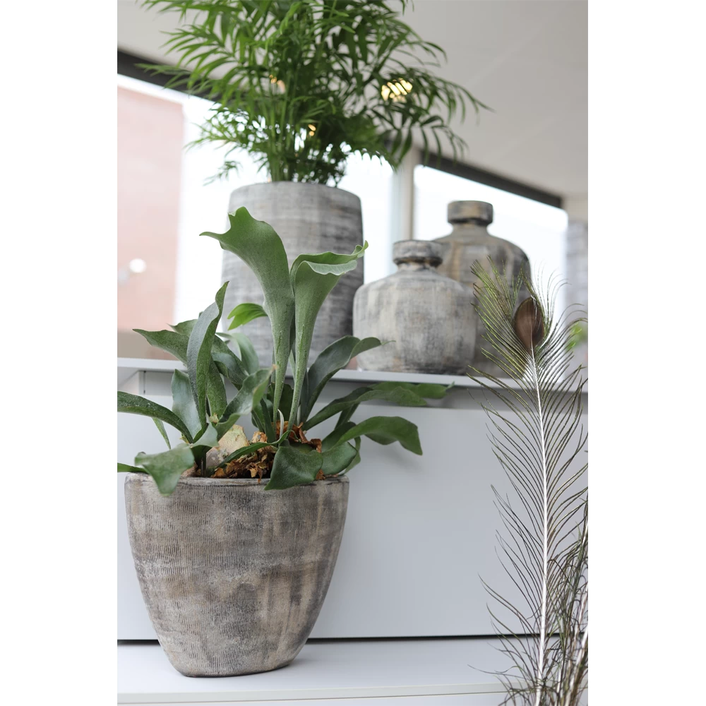 Bloempot Miami Ovaal - L35 X D16 X H19cm - Zwart Cement 2 Bloempot Miami Ovaal - L35 X D16 X H19cm - Zwart Cement - Afbeelding 2