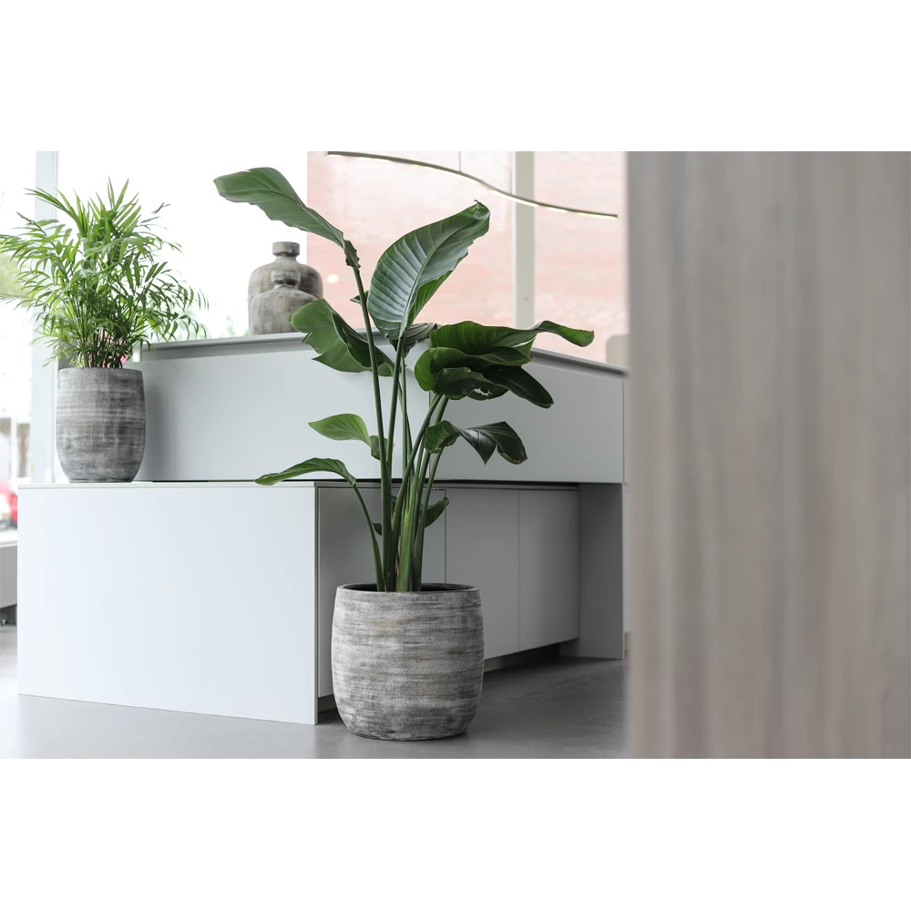 Bloempot Miami Hoog - D29 X H50cm - Zwart Cement 2 Bloempot Miami Hoog - D29 X H50cm - Zwart Cement - Afbeelding 2