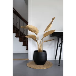 Bloempot Petra - D33 X H31cm - Mat Zwart 6 Bloempot Petra - D33 X H31cm - Mat Zwart -Tuin Verkoop bloempot petra mat zwart 3