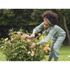 Comfort Snoeischaar - Gardena 5 Comfort Snoeischaar - Gardena -Tuin Verkoop comfort snoeischaar gardena 3 7