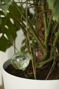 Aqua Care Elho - Transparant 9 Aqua Care Elho - Transparant -Tuin Verkoop elho aqua care transparant water geven 7 2