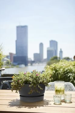 Plantenschaal Elho Greenville 33cm - Living Black -Tuin Verkoop greenville schaal 33cm bloempot living black 6 13