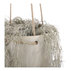 Hangpot Resa - D18,5 X H17cm - Lichtgrijs -Tuin Verkoop hangpot resa d18 5 x h17cm lichtgrijs hangpot 3 1