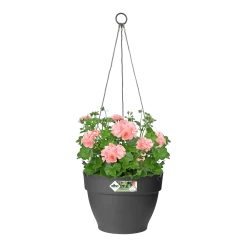 Elho Hangschaal Vibia Campana 26cm - Antraciet -Tuin Verkoop hangschaal vibia campana 26cm antraciet hangpot antraciet 3 1
