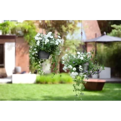 Elho Hangschaal Vibia Campana 26cm - Antraciet -Tuin Verkoop hangschaal vibia campana 26cm antraciet hangpot antraciet 4 1