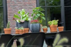 Bloempot Iowa Bullet - D57 X H50.5cm - Donkergrijs 5 Bloempot Iowa Bullet - D57 X H50.5cm - Donkergrijs -Tuin Verkoop iowa bullet graphite d57h505 bloempot 7 9