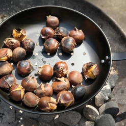 Kastanjepan - Fancy Flames -Tuin Verkoop kastanjepan fancy flames 3 1