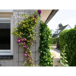 Nature - Metalen Klimrek Geplastificeerd Grijs H145x57cm -Tuin Verkoop nature metalen klimrek geplastificeerd grijs h145x57cm 3 2