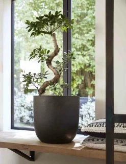 Capi Bloempot Bol Urban Smooth NL - D35 X H34cm - Zwart -Tuin Verkoop pot bol smooth nl 35x34 zwart bloempot 7 8