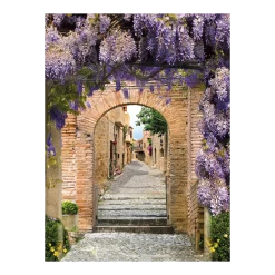 Tuinposter Doorkijk Bl. Regen Stad - 60x80cm