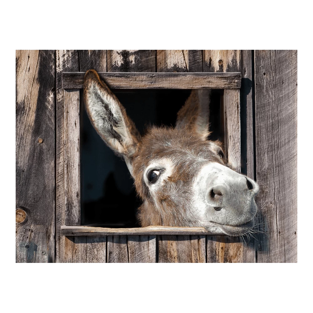 Tuinposter Ezel - 80x60cm 1 Tuinposter Ezel - 80x60cm