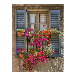 Tuinposter Kozijn Met Bloemen - 60x80cm