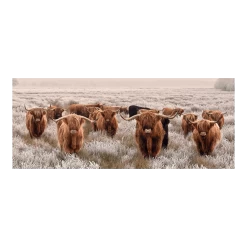 Tuinposter Longhorns - 110x45cm