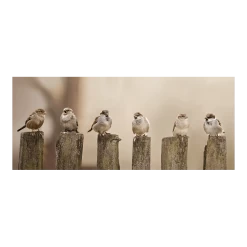 Tuinposter Musjes Op Palen - 110x45cm