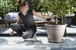 Plantentaxi Elho Universeel 30cm - Antraciet -Tuin Verkoop universele planttaxi 30cm schotel antraciet 6 11