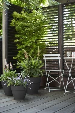 Bloempot Elho Vibia Campana Rond 40cm - Antraciet -Tuin Verkoop vibia campana rond 40 bloempot antraciet 7 11